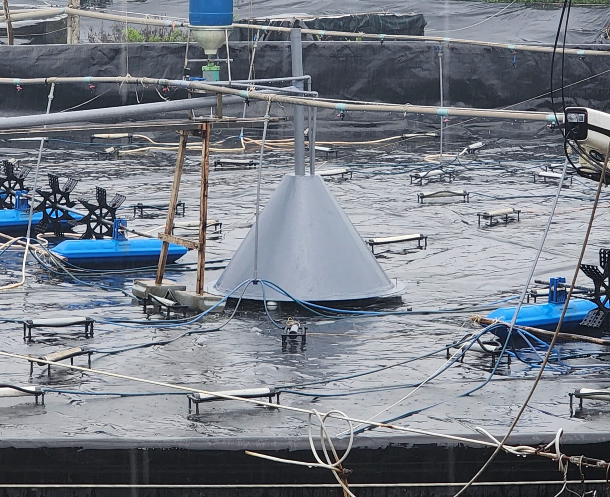 Fine bubbles can help reduce 30% to 100% air diffuser usage in intensive shrimp farming