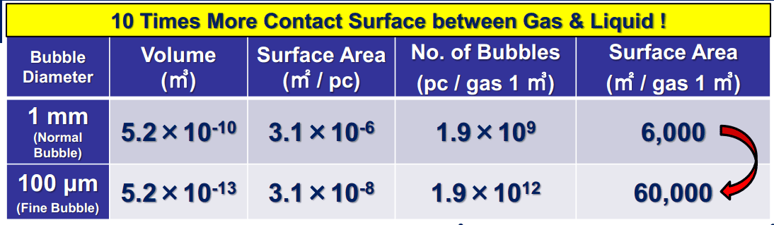 Presentation to Indonesian market - Fine bubble solution